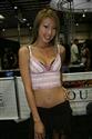 Hot Import Daze - Models