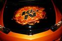 Hot Import Nights - Automotives